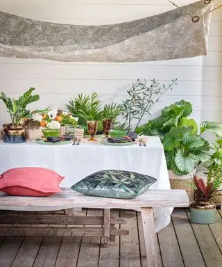 Et eksempel på ideer til udendørs spisning, der viser en udendørs spiseplads med grønne planter omkring et bord med bænke og hynder