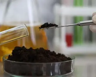 suelo mejor probado en laboratorio