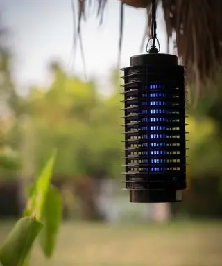 armadilha para mosquitos