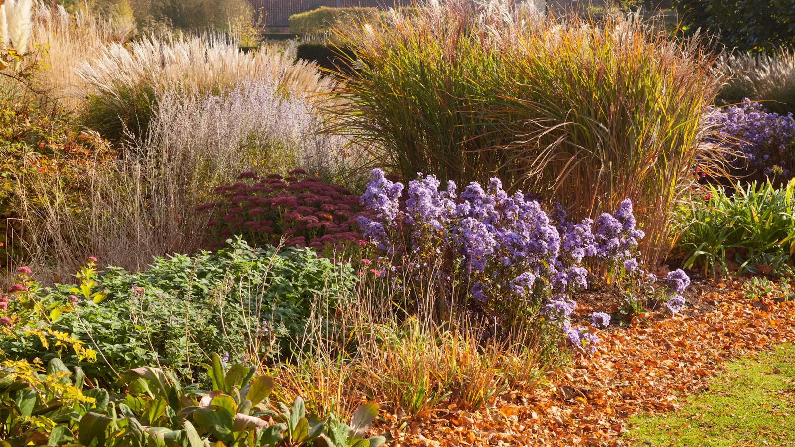 Fall Garden Plants' loading='lazy' title=