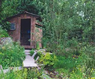 RHS Chelsea Flower Show 2022에서 다시 야생으로 변하는 영국 풍경