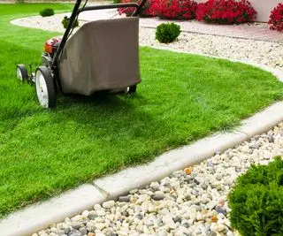 tosaerba su un prato