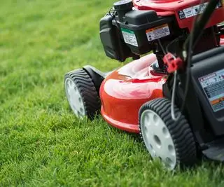 Primo piano di un tosaerba rosso che taglia l'erba