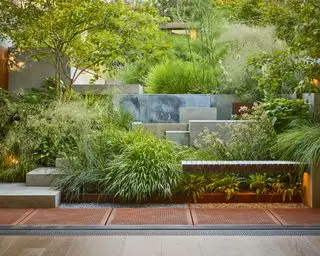 Großer grüner Garten mit Betonstufen, Holzbank