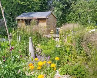 Hübscher Garten mit Schuppen im Hintergrund, Wildblumenbepflanzung, Bäumen und Sträuchern