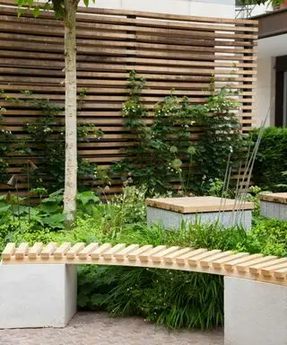 Lattenzaun mit Kletterpflanzen und einer geschwungenen Bank veranschaulichen raumgreifende, lange Gartenideen.