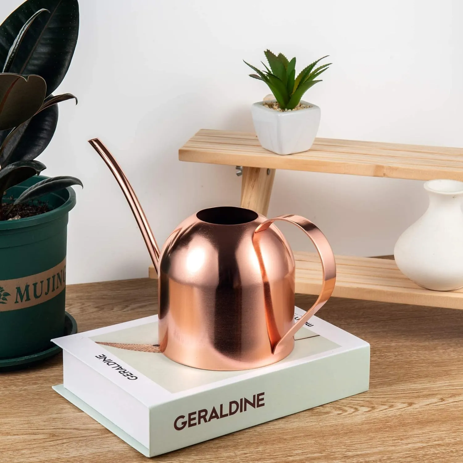 Imeea Annaffiatoio da Interno per Piante da Appartamento Annaffiatoio in Acciaio Inossidabile da 33 Once/1 Litro con Beccuccio Lungo (Oro Rosa)' loading='lazy' title=