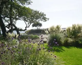 kysthage beplantet med gress og verbena