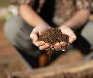 Comment ajouter du phosphore au sol – 5 méthodes biologiques à utiliser dans votre jardin