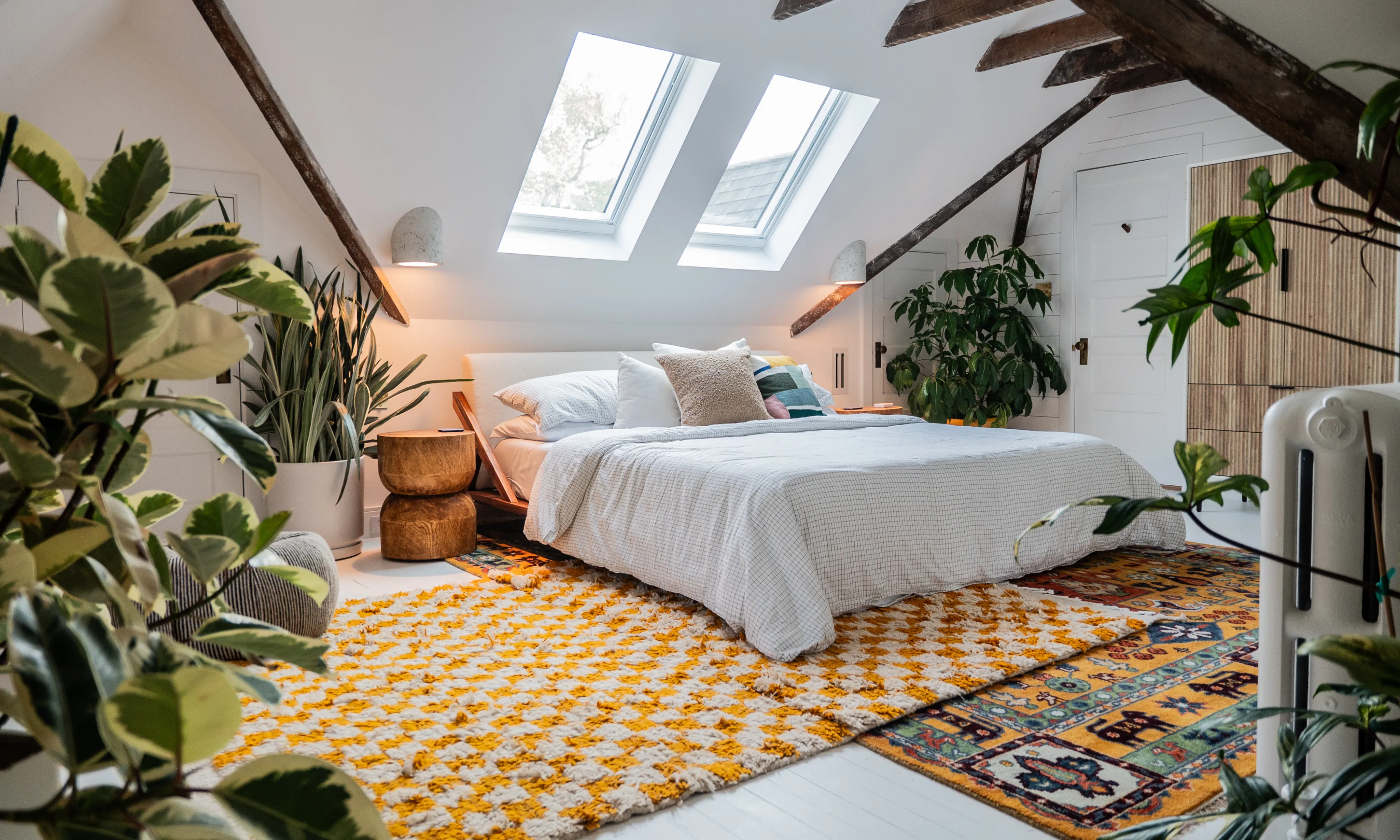 grande seringueira e outras plantas grandes em um quarto' loading='lazy' title=