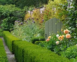 Grønmalet havelåge i træ med nitter mellem blomsterkant og ved lav hæk
