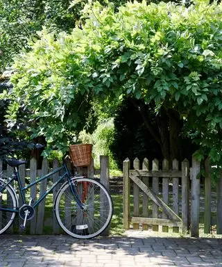Traditionel stakitport vist ved siden af ​​en cykel, der fører til en skovklædt have