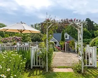Trellisidéer med pergola