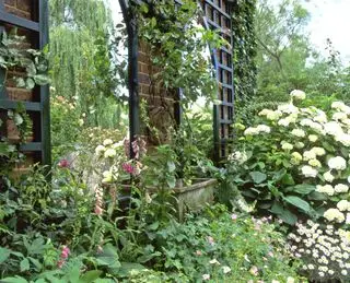 Haveespalier mod væg med indbyggede spejle