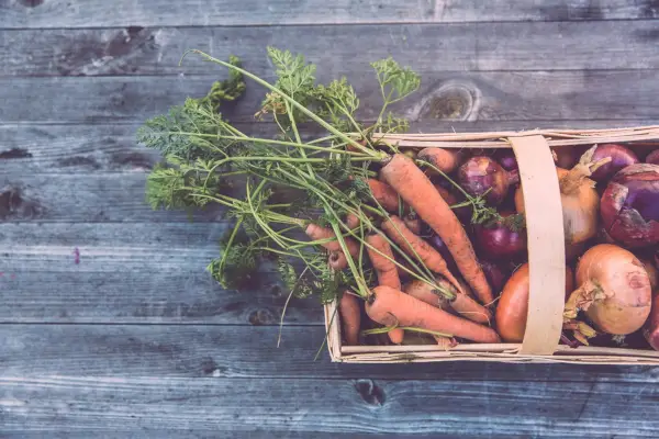 Cuándo cosechar zanahorias: para aprovechar al máximo este cultivo fácil de cultivar
