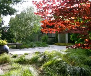 ריצוף, אסר ודשא בגינה מאת קבוצת Gardenart