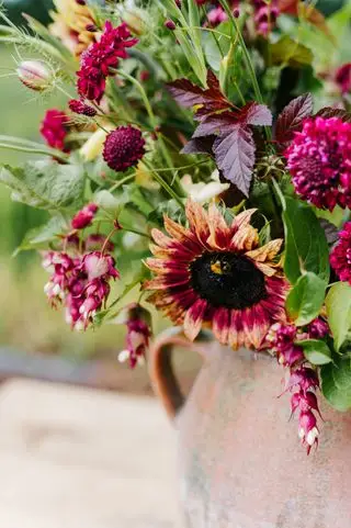 vaso in terracotta di girasoli messicani e altri fiori dai colori intensi