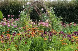 giardino fiorito reciso con arco di piselli dolci
