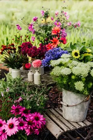 selezione di fioriture in secchi da giardino fiorito reciso