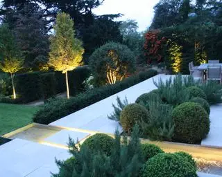 Topiária de árvores e caminho de jardim