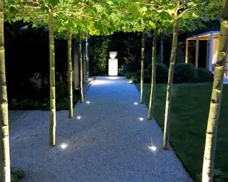 caminho arborizado que leva à estátua com iluminação