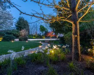 jardim com caminho iluminado e árvores