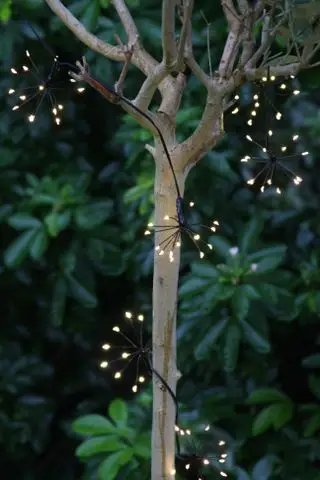 Ein Beispiel für Ideen für eine Außenbeleuchtung mit Lichterketten, das einen schlanken Baumstamm mit funkelnden Lichterketten zeigt