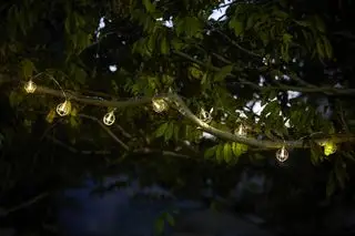 Ein Beispiel für Ideen für eine Außenbeleuchtung mit Lichterketten, bei der Gartenlichterketten um einen Ast herum gezeigt werden