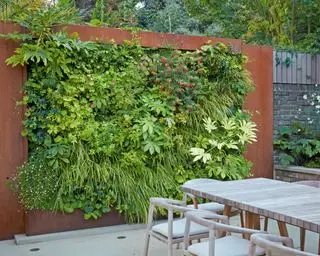 pared viva al lado de una zona de estar en la terraza