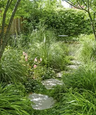 Jardín estrecho con plantación estilo pradera y camino de piedra.
