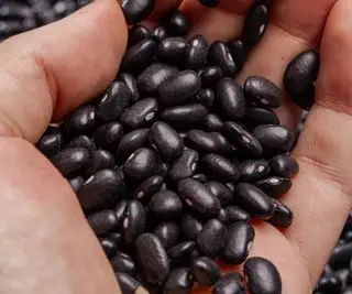 Una mano que sostiene un montón de frijoles negros