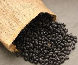 Frijoles Tortuga Negra