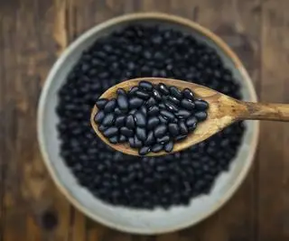 Cómo cultivar frijoles negros: consejos de expertos para cultivar con éxito este cultivo amante del sol a partir de semillas