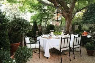Terrasse mit Esstisch und großem Baum