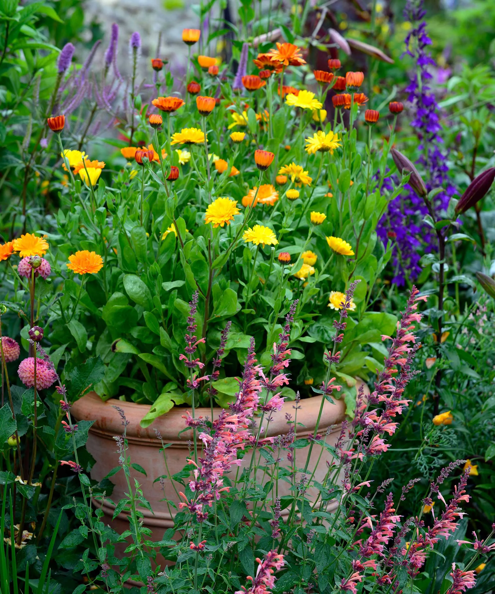 terrakottakrukke med blomster' loading='lazy' title=