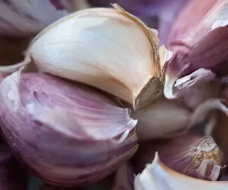 Un bulbo de ajo separado en dientes de cerca