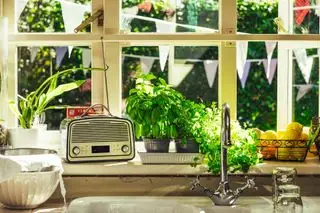 albahaca creciendo en el alféizar de una ventana de cocina