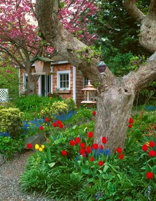 grusvei fører til et lite skur i en vårhage med blomstrende tulipaner, hyasinter og kirsebærtrær