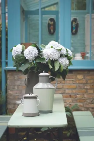 Ein mintgrün gestrichener Tisch und Sitzbänke mit Vintage-Milchkannen, die als Blumenvasen mit einem Strauß hellblauer Hortensien umfunktioniert wurden.