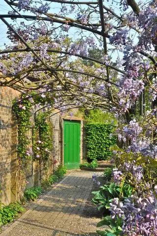 Marco de pared Monet