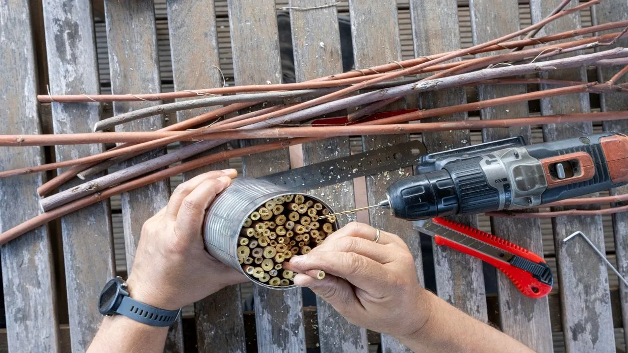 Zrób to sam – schroniska dla dzikich zwierząt – zbuduj prosty hotel dla owadów z lasek i puszki' loading='lazy' title=