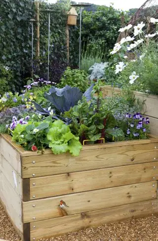 Små køkkenhave ideer med blandede afgrøder og blomster i højbede af træ.