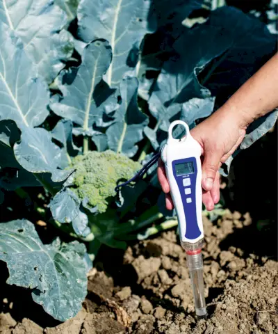 Comment retourner la terre de votre potager – pour préparer la nouvelle saison de croissance