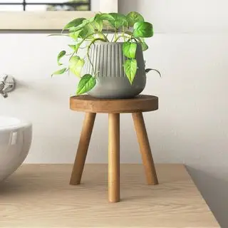 Wayfair plantestand