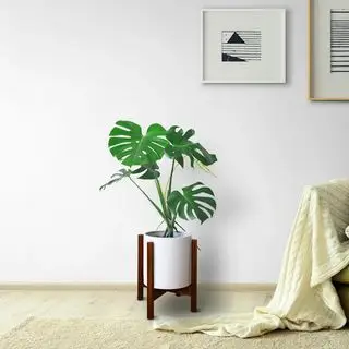 Wayfair plantestand
