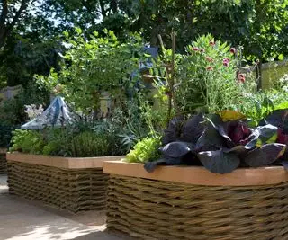 Idee per l'orto nel cortile: 10 modi eleganti per coltivare raccolti deliziosi