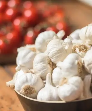 Cómo-cultivar-ajo-RHS-Georgi-Mabee-2