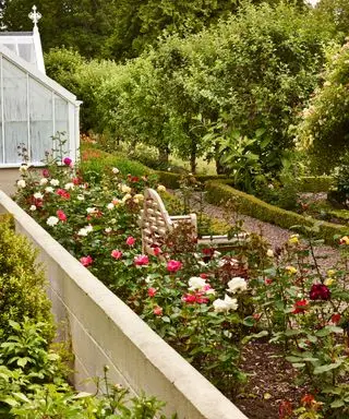 Un parterre de fleurs avec un banc en bois entouré de roses et de fleurs roses et blanches