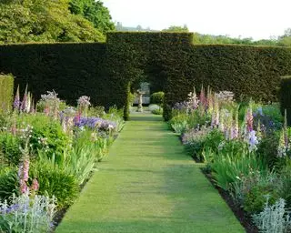 Une allée gazonnée avec des parterres de fleurs vivaces de chaque côté et une grande tête devant