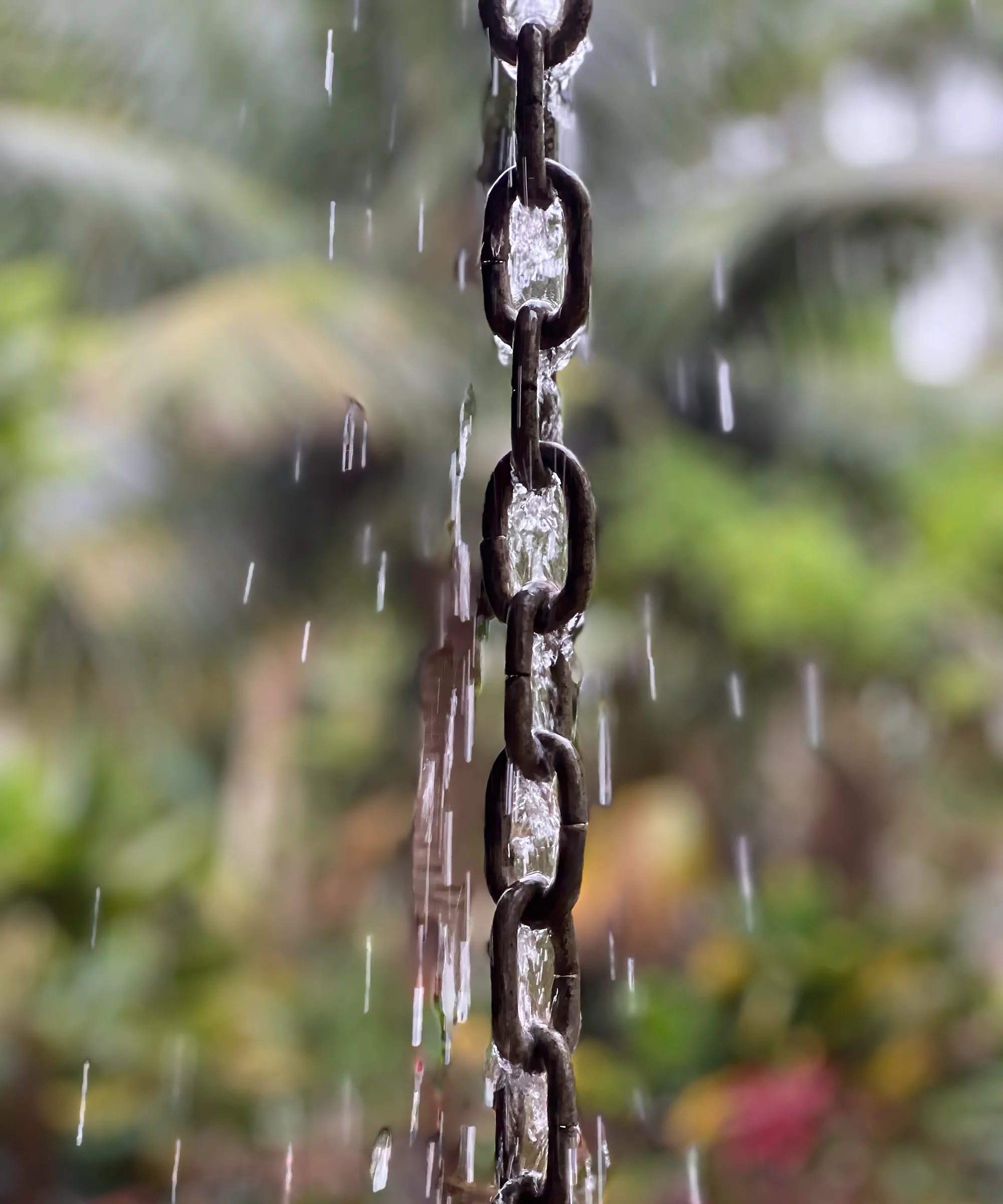 Catena di pioggia nera con acqua che scorre giù' loading='lazy' title=